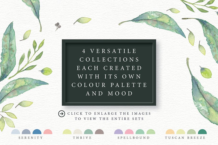 四合一优雅水彩剪贴画集 4in1 Elegant Watercolour collections插图(1)
