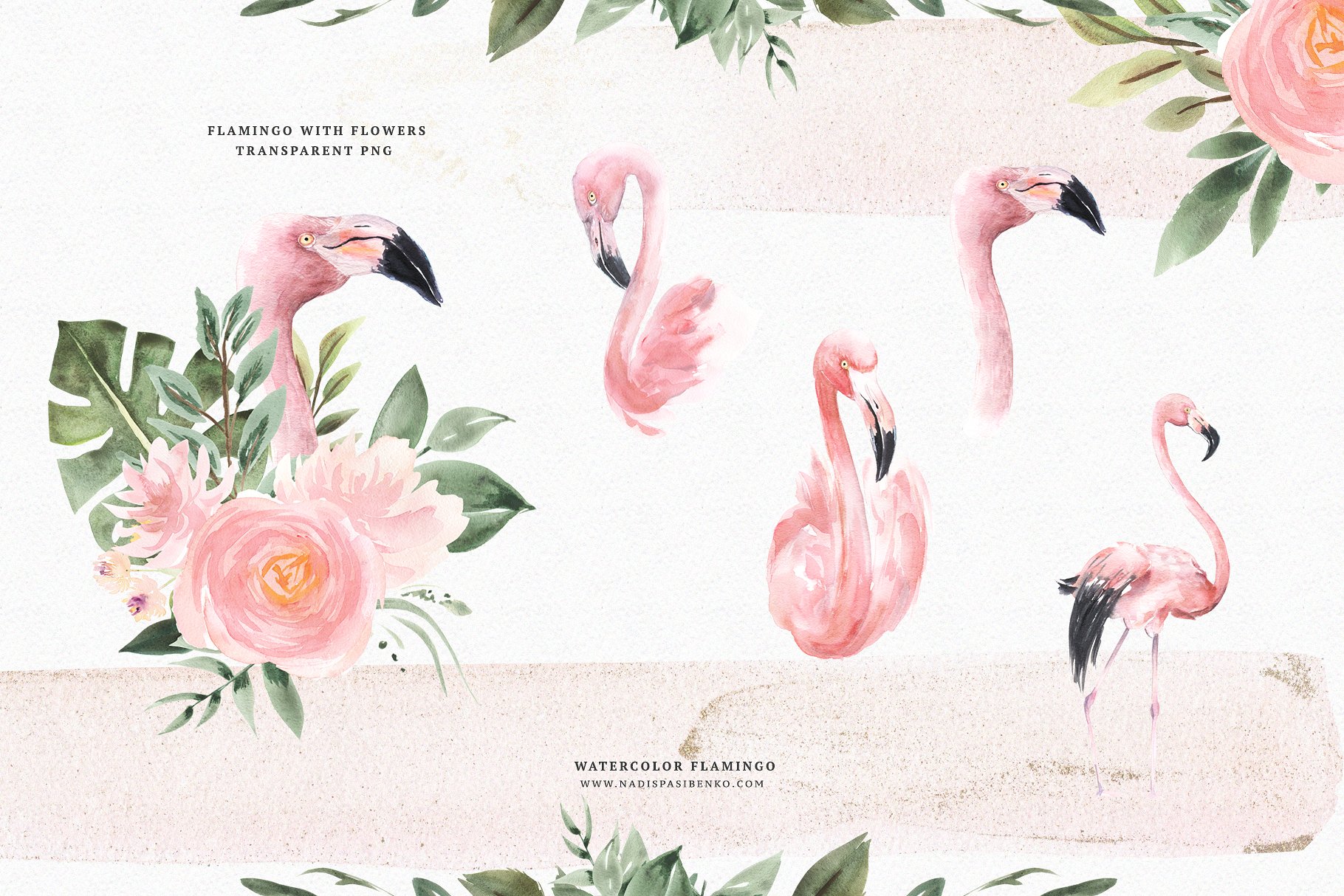 火烈鸟与鲜花矢量水彩插画 Watercolor Flamingo & Flowers插图(1)