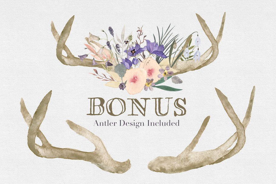 淡雅手绘水彩花卉剪贴画合集 On the Moor Watercolor Florals插图(1)