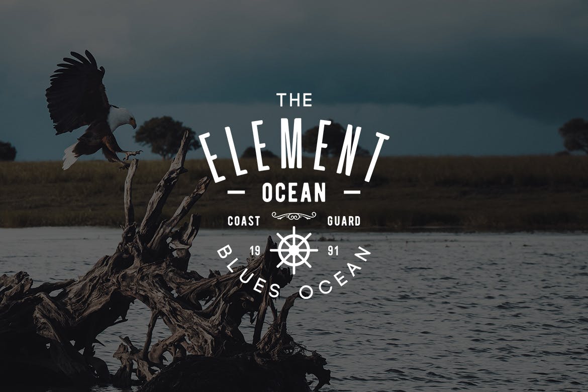 欧美复古设计风格品牌素材库精选LOGO商标模板v29 Vintage Logo & Badge Vol. 29插图(1)