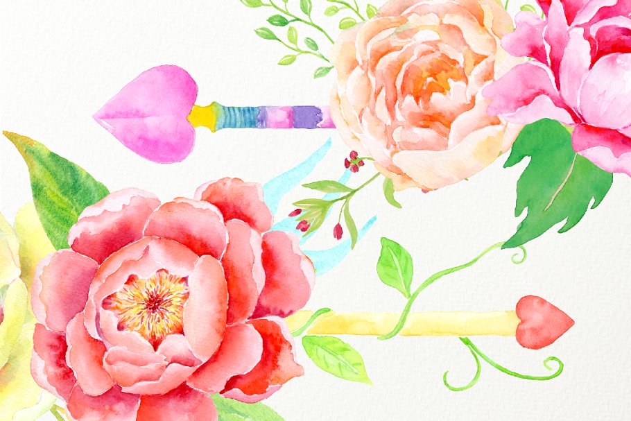 波西米亚水彩牡丹插画 Watercolor Boho Peony Arrow插图(3)