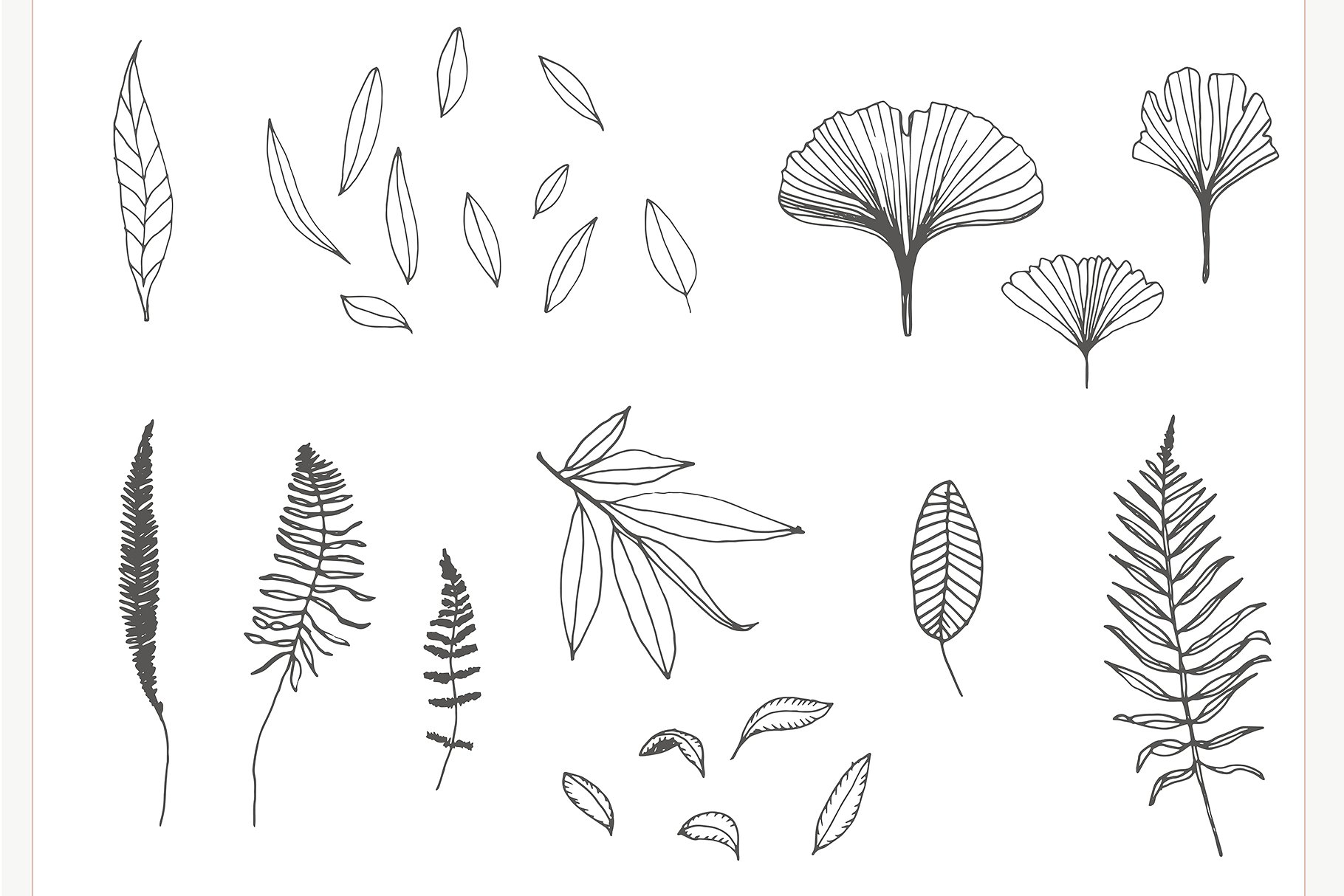 浪漫手绘色彩落叶树枝元素 Hand drawn Leaves Collection插图(6)