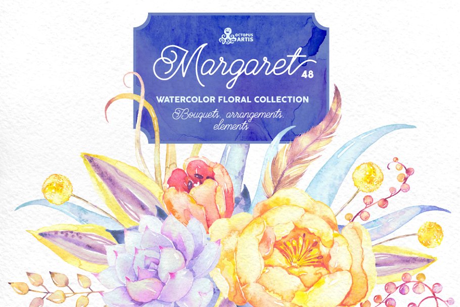 玛格丽特水彩花卉插画 Margaret. Watercolor flowers插图