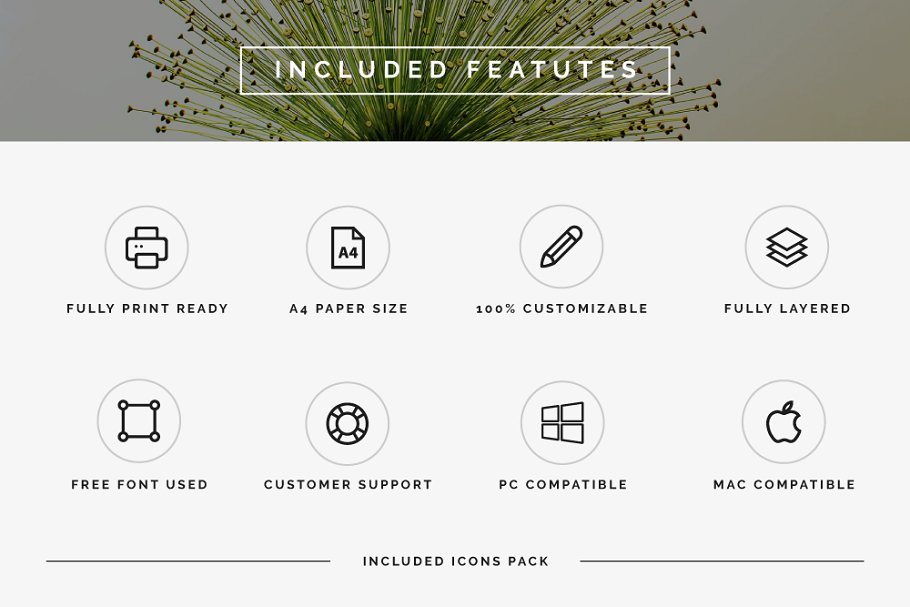 个人简历模板下载 Professional Resume/CV插图(8)