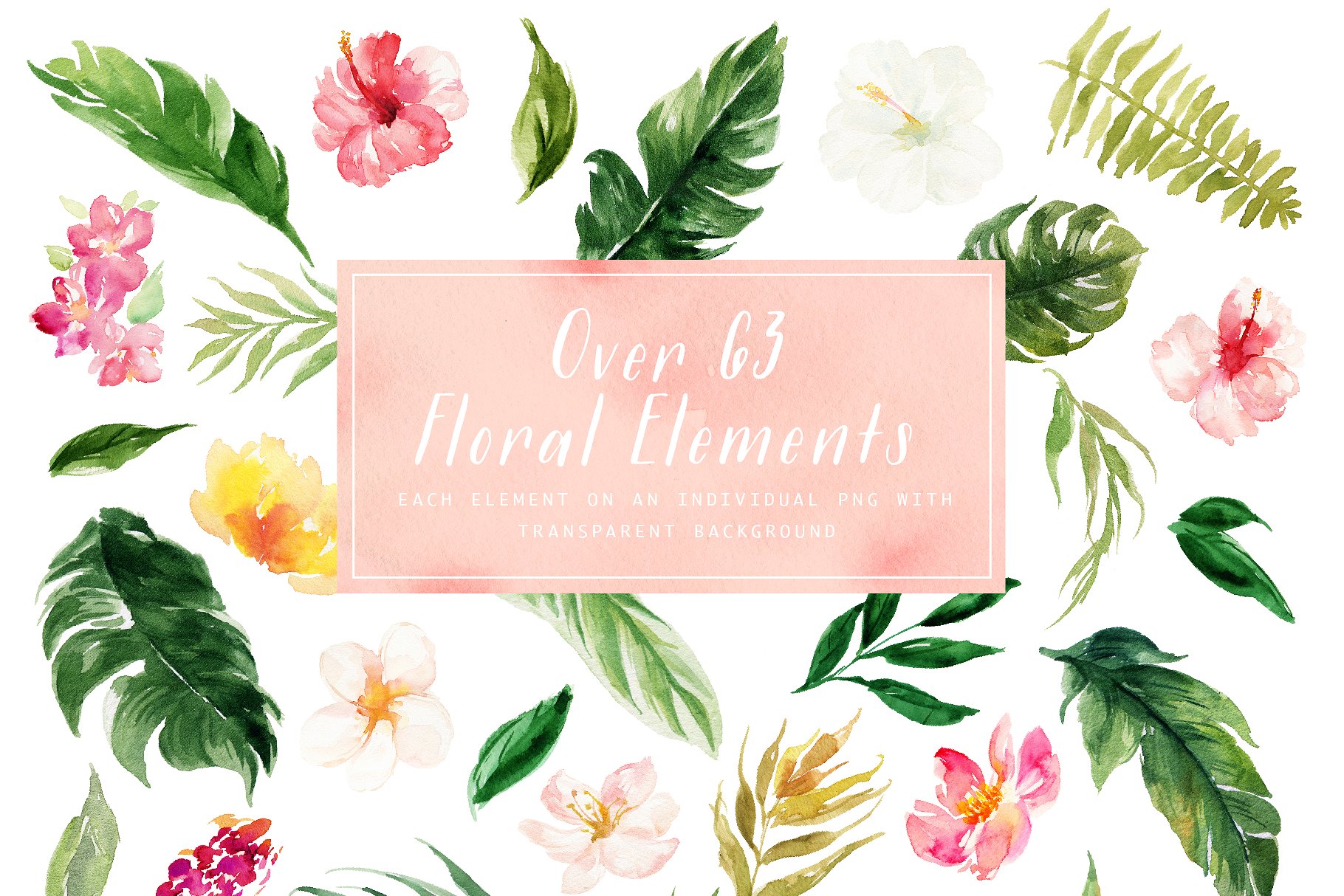 热带夏季手绘设计元素 Summer Design Set-Tropical插图(7)