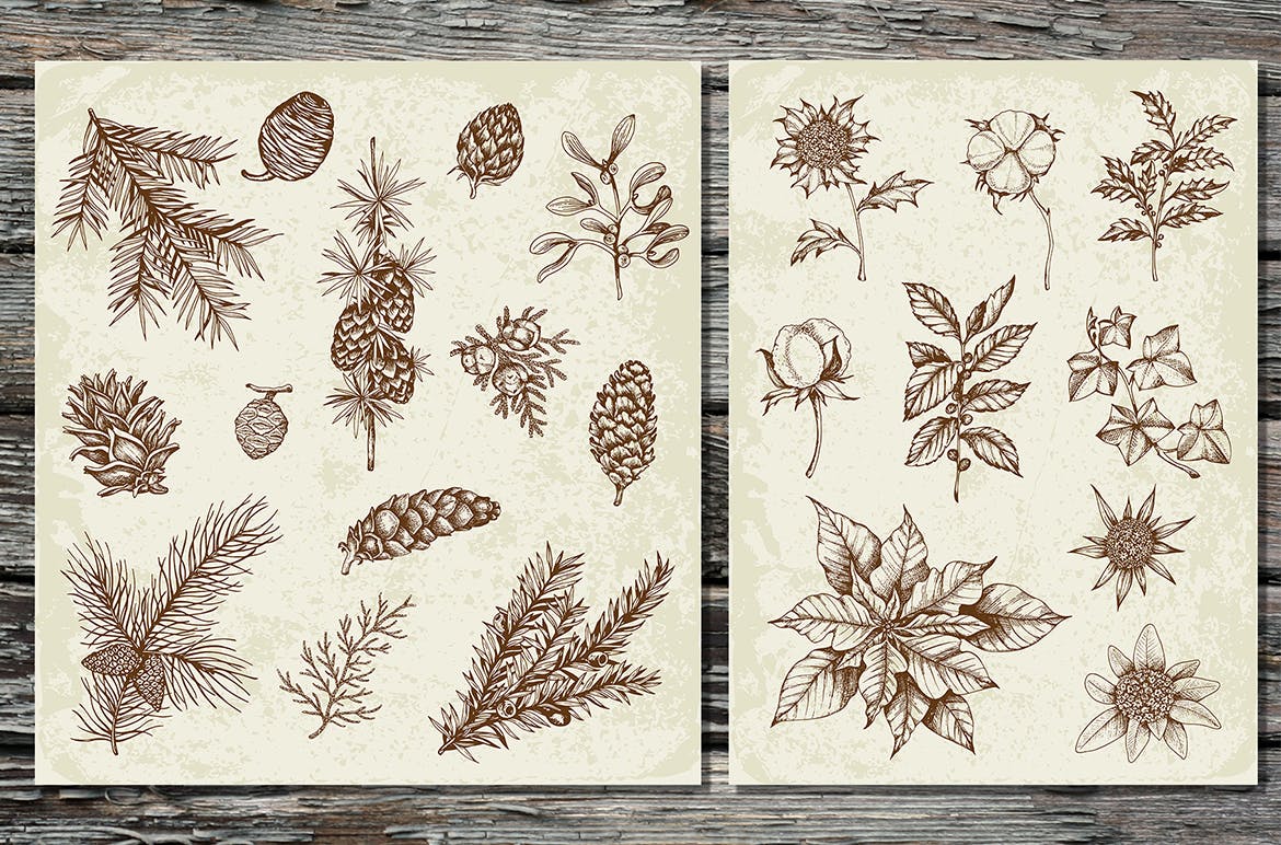 圣诞主题复古设计风格素材包[元素/背景/无缝纹理] Merry Christmas Vintage Design Kit插图(1)