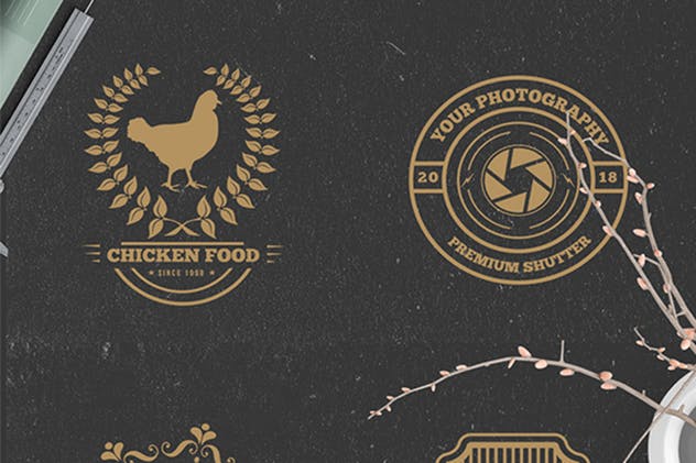 22枚欧美复古风格品牌Logo商标设计模板 22 Vintage Logos插图(4)