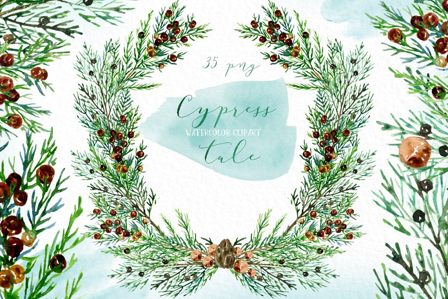 柏树水彩剪贴画 Cypress tale. Watercolor clipart插图(2)