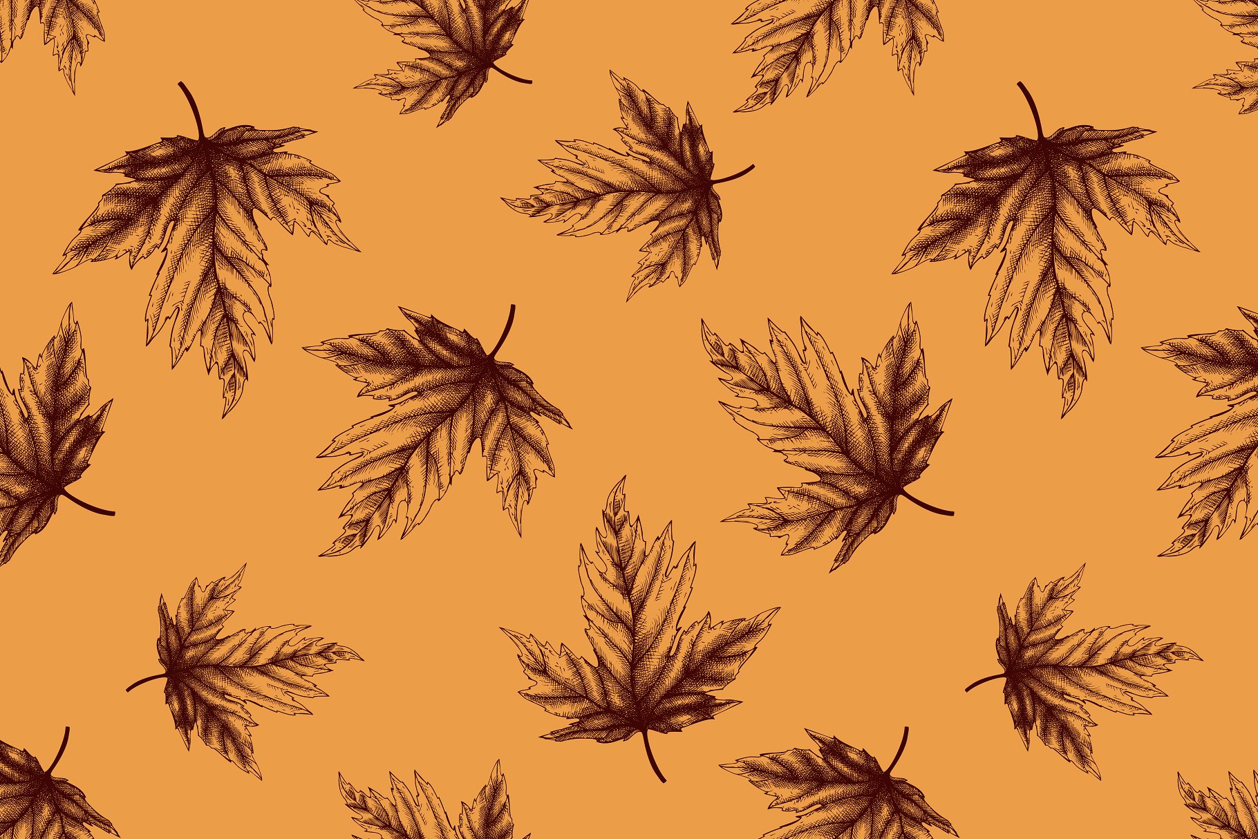 感恩节矢量元素设计套装 Vector Thanksgiving Day Design Set插图(5)