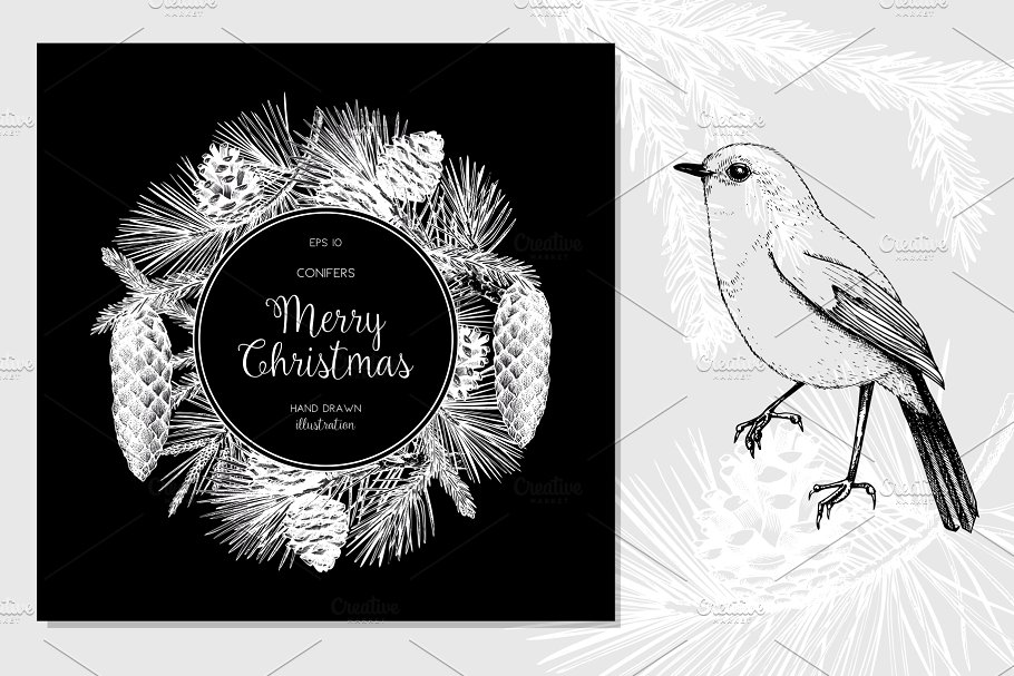 手绘黑白风针叶树木插画 Conifers Trees Set in Black插图(4)