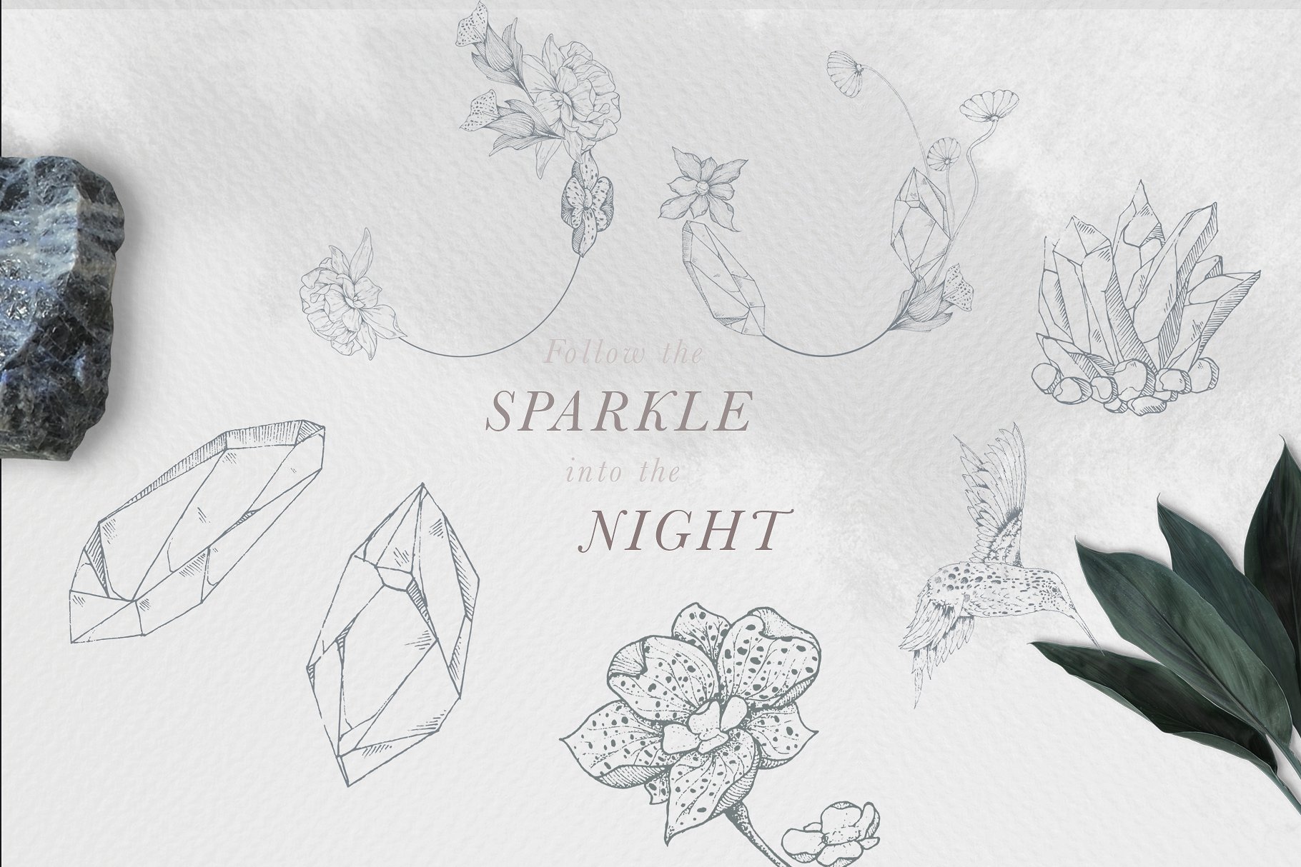 虚实结合黑色背景手绘矢量花卉图形素材 Black Orchid Illustration Set插图(10)