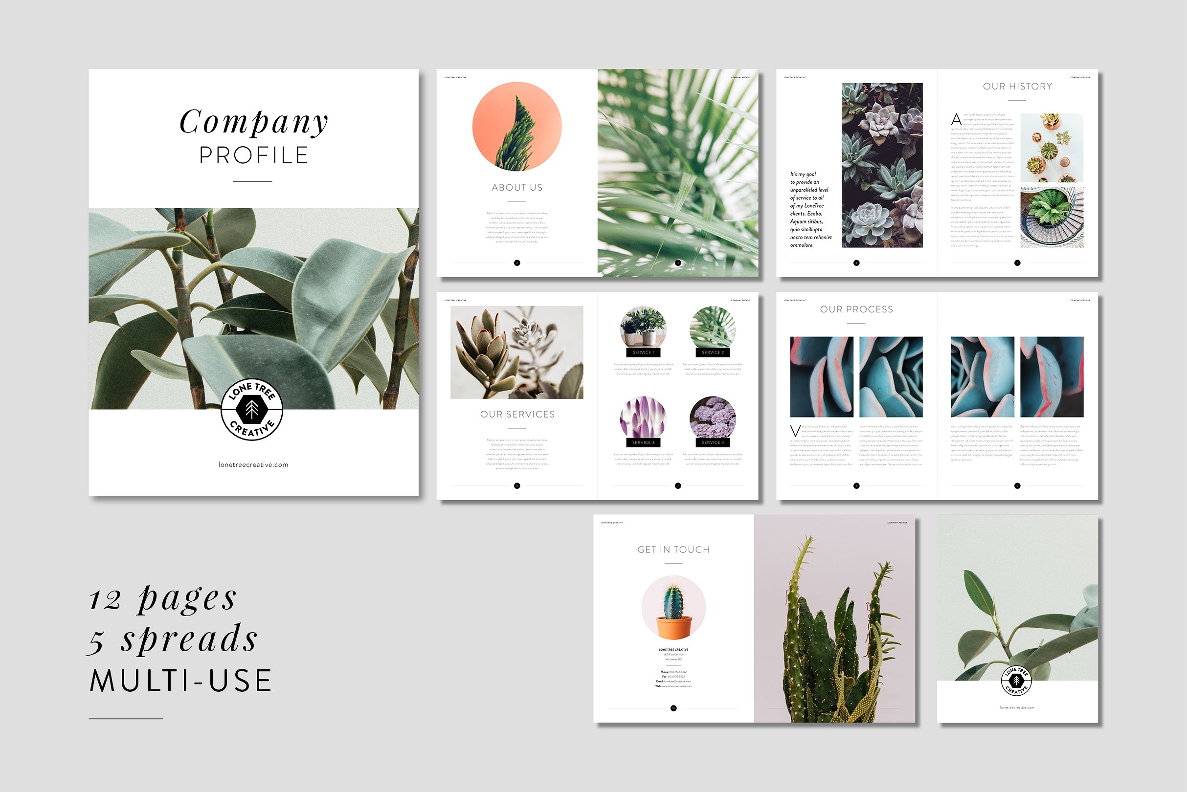 时尚专业的公司宣传画册模板 Minimal Company Profile + Brochure [indd]插图(2)