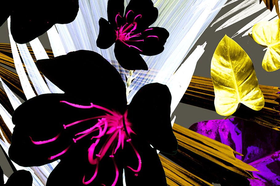 带叶花卉无缝纹理 Seamless floral patterns with leaves插图(3)