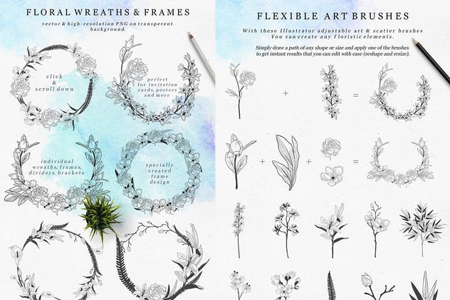 精致花卉矢量插画设计素材系列 Delicate Blossom Collection插图(2)