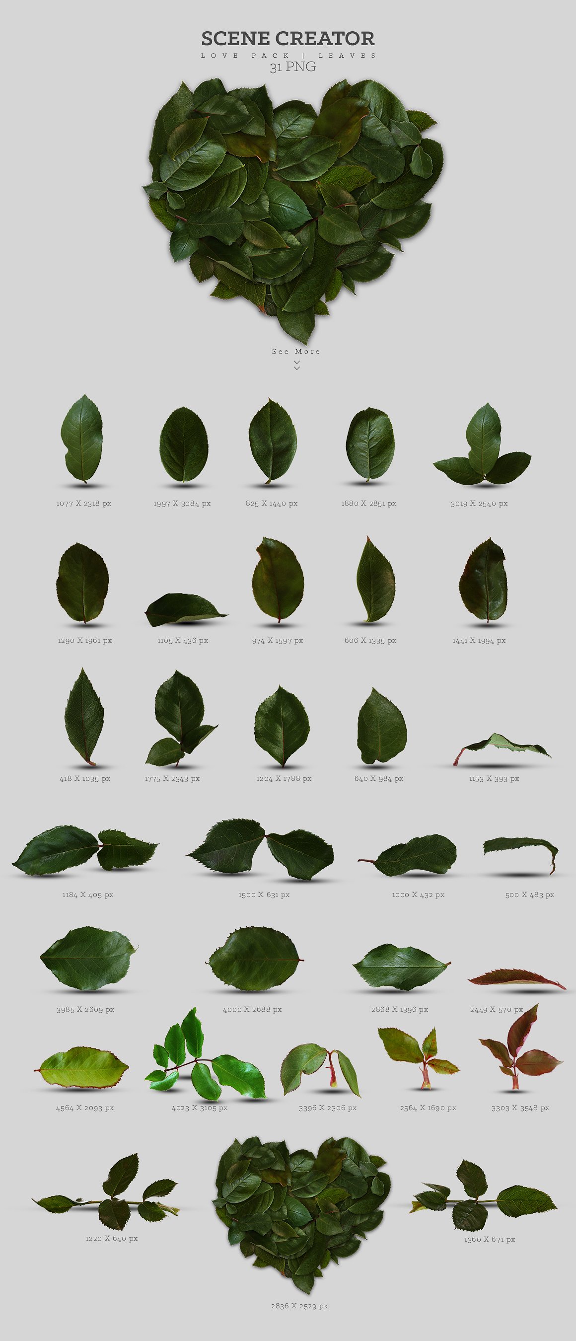 浪漫爱情(情人节)玫瑰花素材大合集1.6G[psd,eps,png]插图(10)