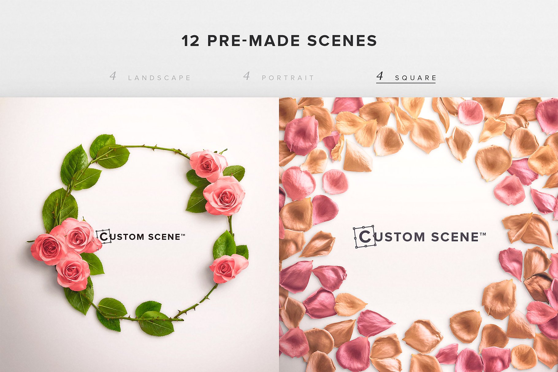 真实玫瑰花语场景设计素材包 Floral Roses Collection – CS插图(6)