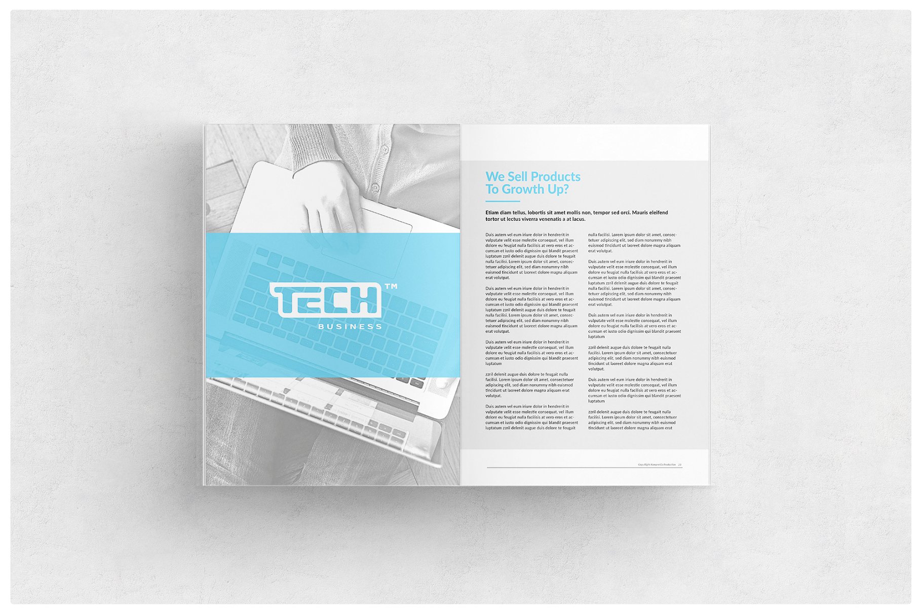 企业宣传产品介绍画册模板 Brochure插图(7)