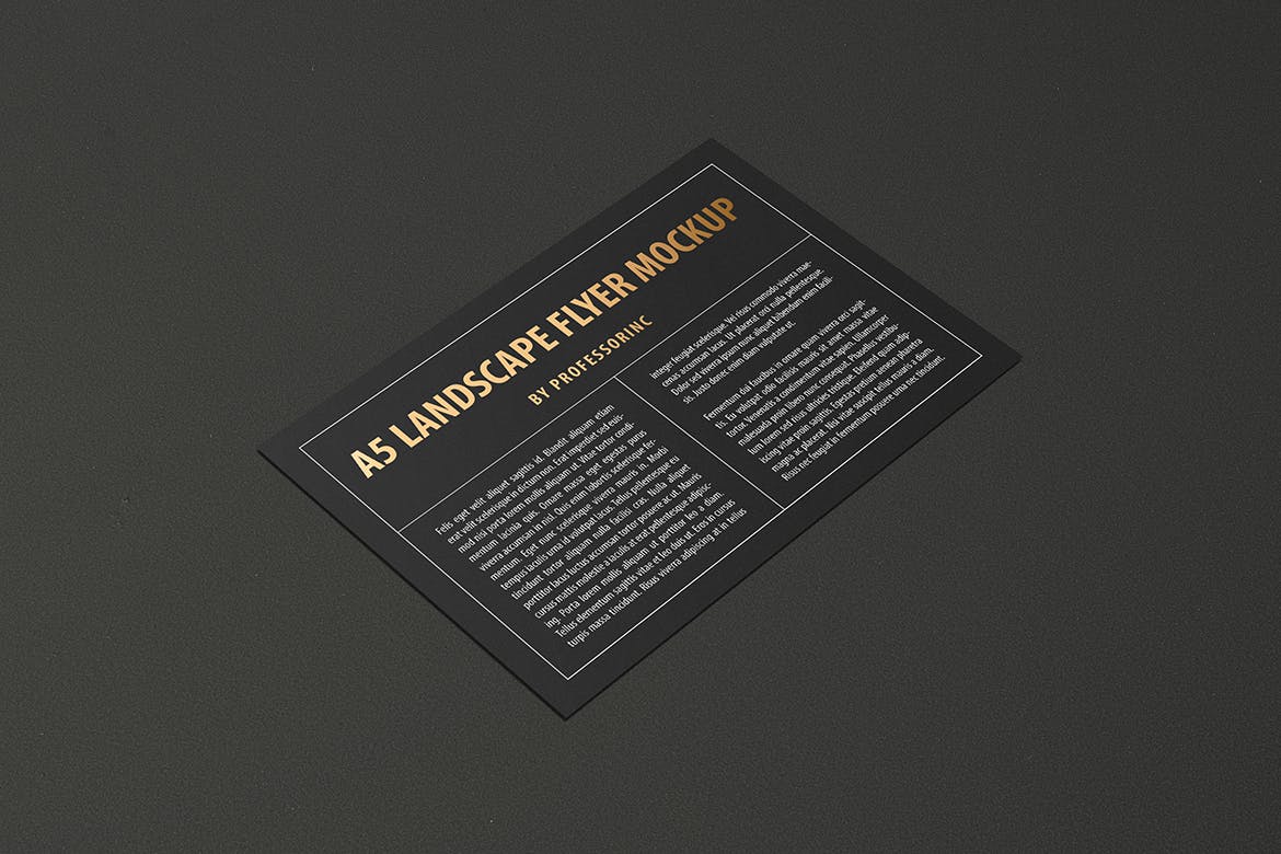 A5尺寸大小烫金设计风格宣传单效果图样机素材库精选模板 A5 Landscape Flyer Mockup — Foil Stamping Edition插图(10)