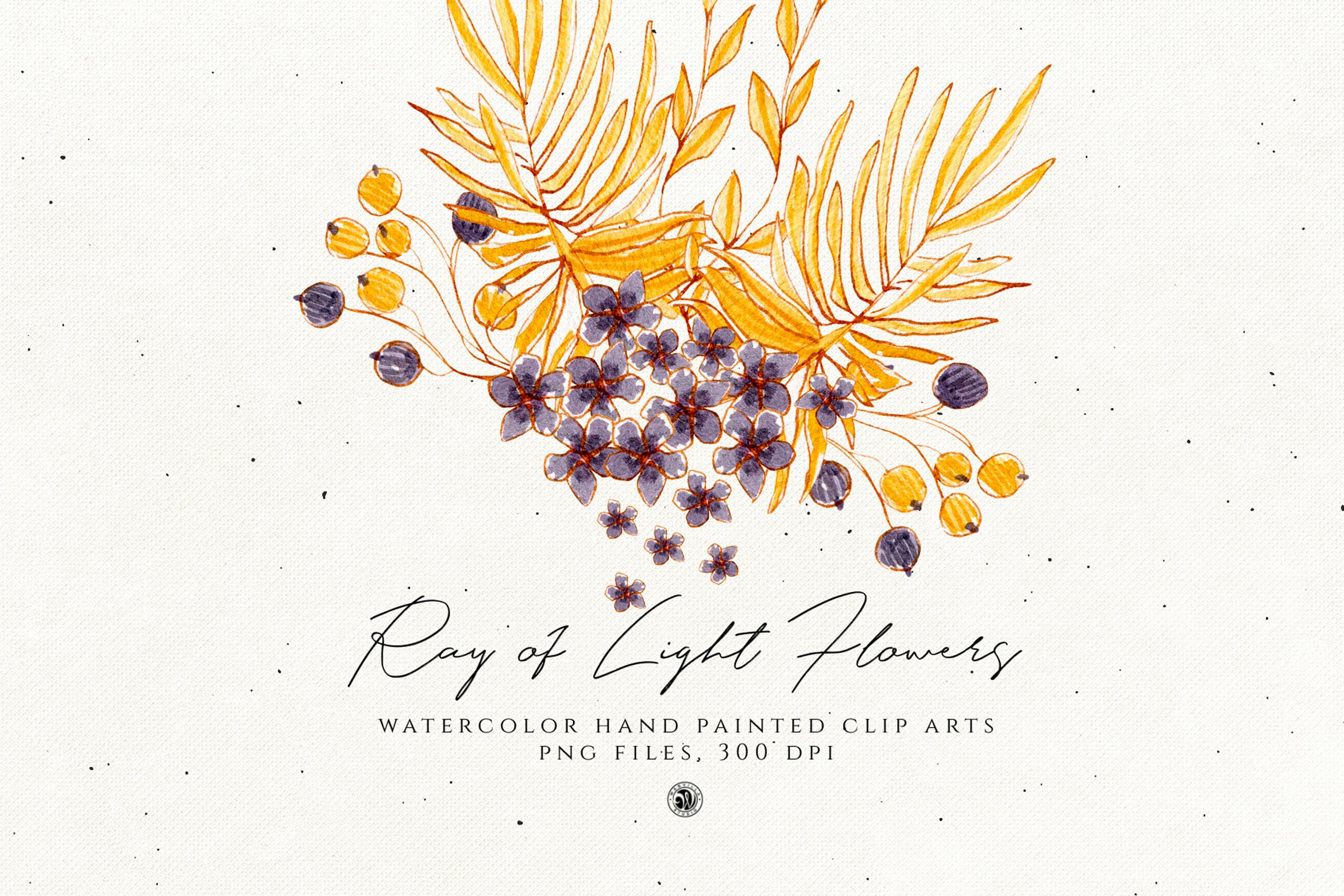 浅色优雅水彩手绘花卉剪贴画PNG素材 Ray of Light Flowers插图