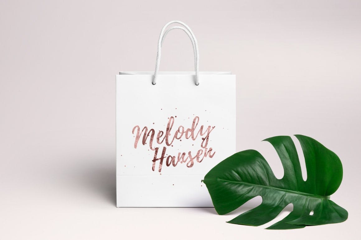 女性时尚品牌Logo设计模板合集[175个Logo模板+27种肌理纹理] The Humongous Girlpreneurs Logo Pack插图(4)