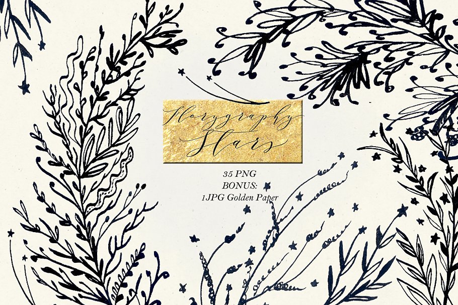 水墨手绘繁星花卉剪贴画 Florygraphy STARS. Ink images插图(3)