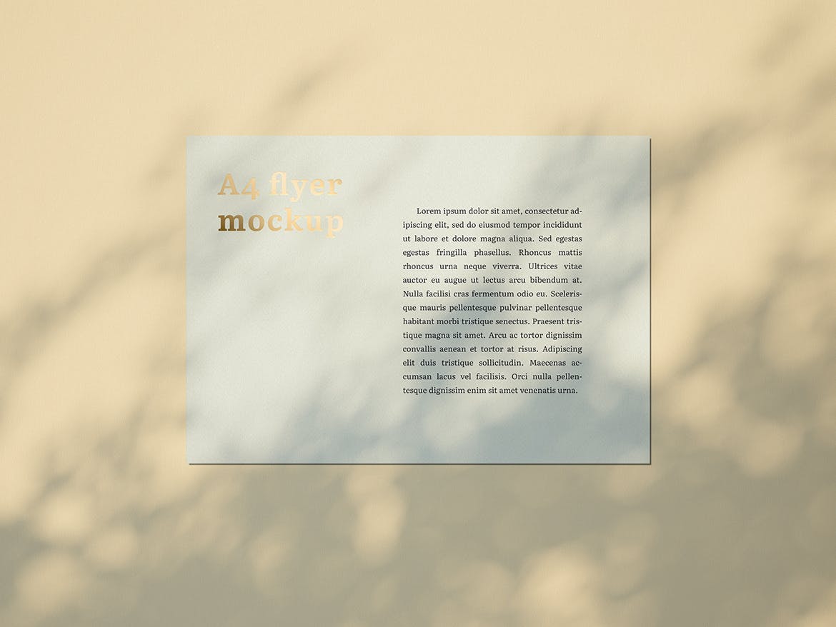 品牌VI设计系统办公用品印刷品套件样机 Stationary Mockup — Set 1插图(15)