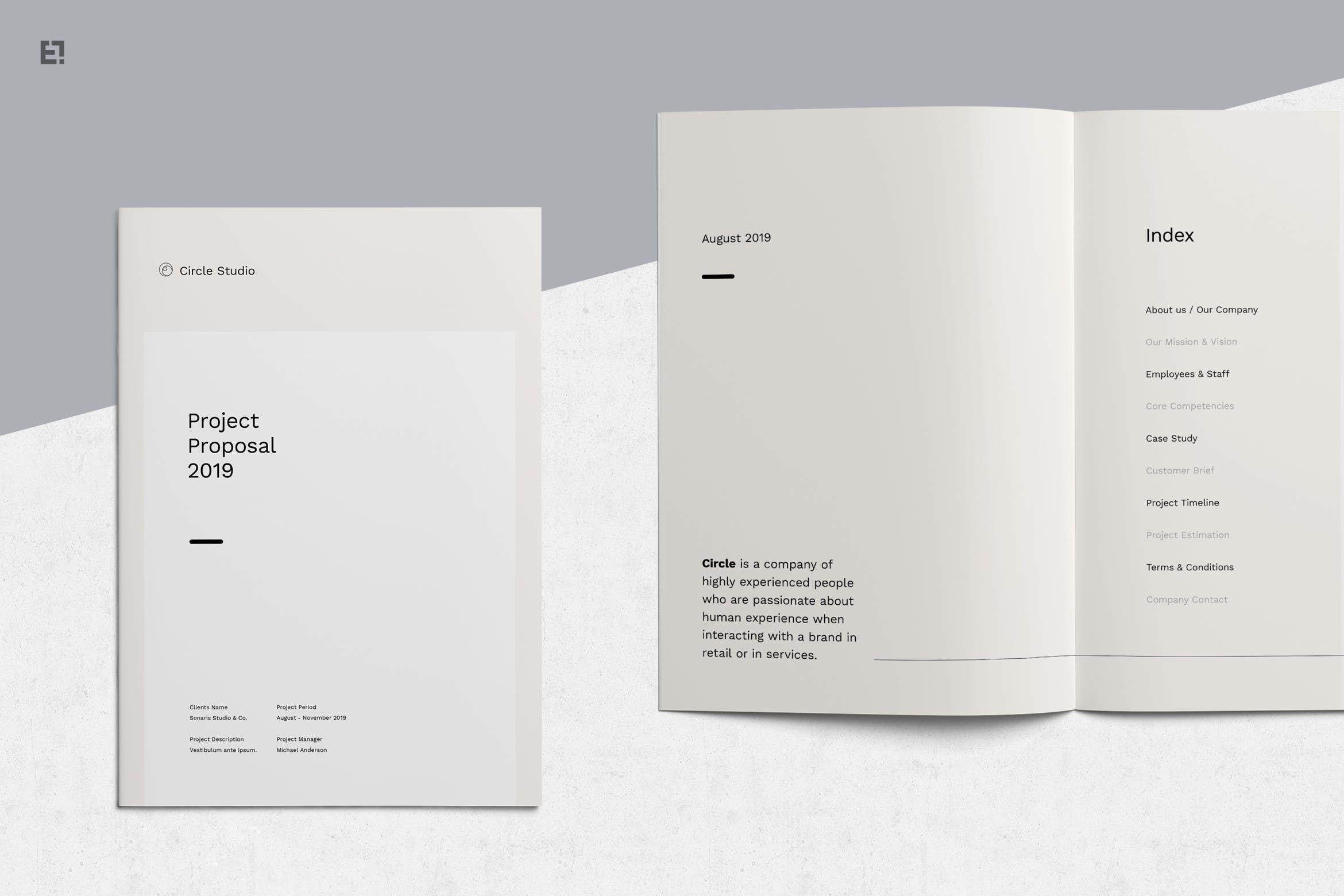 简约时尚设计风格招标书/投资商业计划书设计模板 Proposal插图