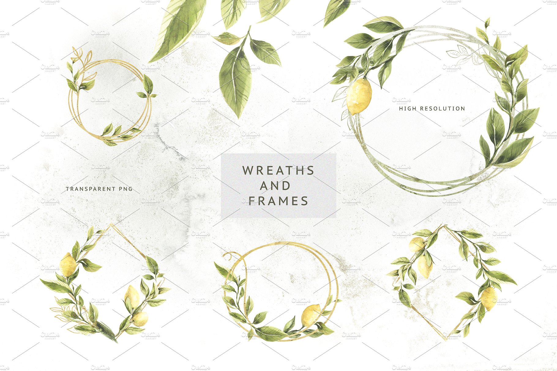 柠檬&绿色枝叶水彩插画 Lemons & Greens插图(4)