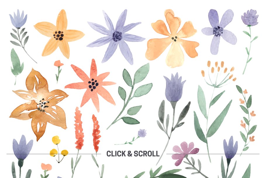 DIY水彩花叶系列元素合集 123 DIY Watercolor Flowers (EPS,PNG)插图(2)