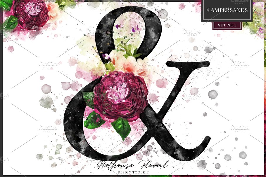数码绘制温室花卉设计素材包(独立花卉元素&花式字母数字) Hothouse Floral Design ToolKit插图(8)