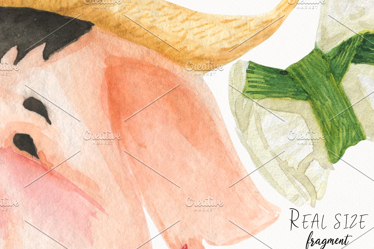 2019年有趣的猪头像水彩元素插画合集插图(3)