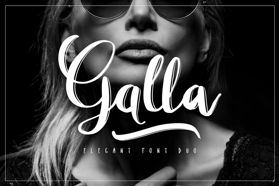 13款手写英文字体合集&Logo模板、矢量插画 Wonderland Fonts Pack & Branding Kit插图(89)