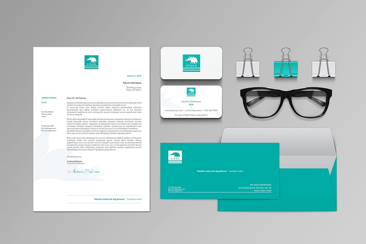 专业有创意的时尚高端VI提案文具套装插图(4)