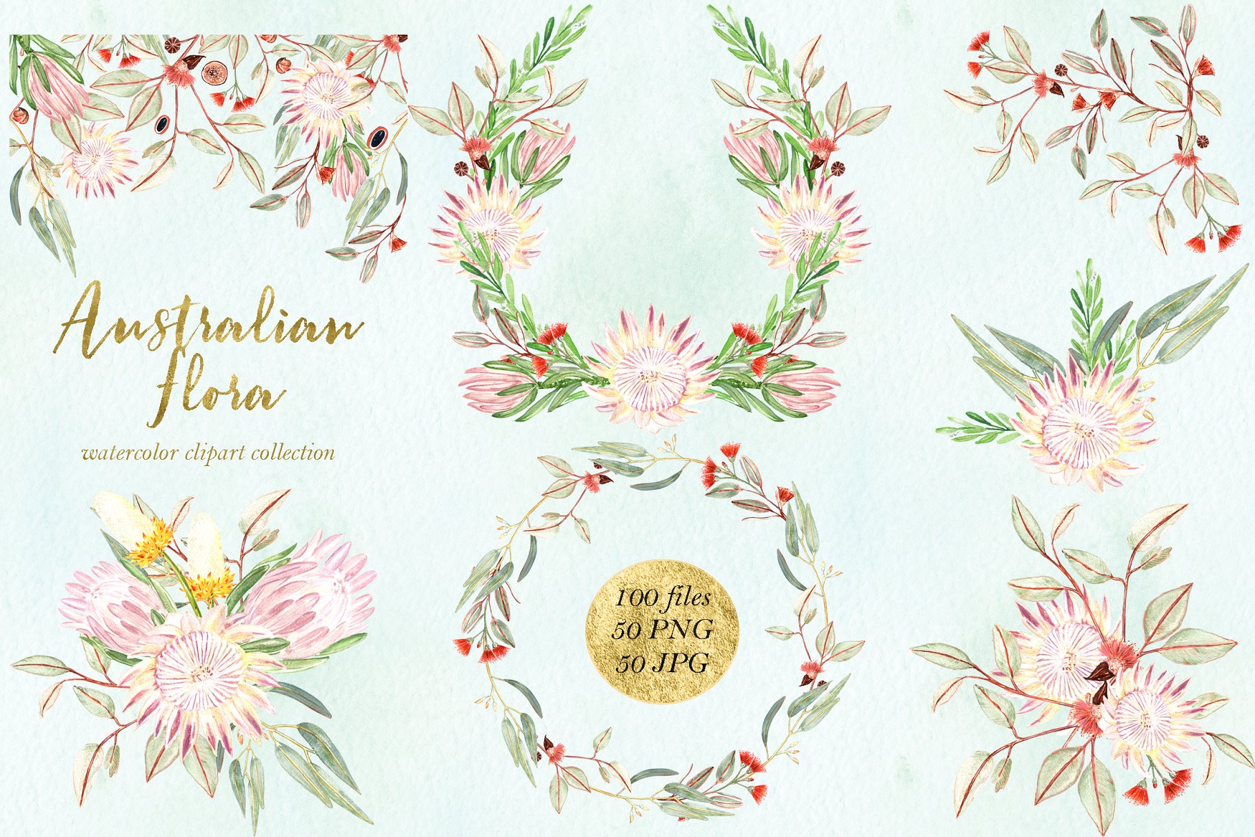 澳大利亚植物水彩剪贴画 Australian Flora Premium watercolor插图(6)