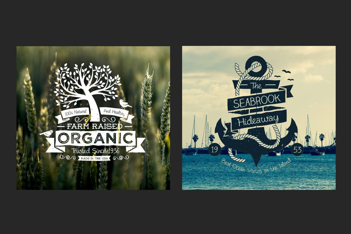 复古手绘设计风格Logo&标签设计模板 Hand Drawn Vintage Logos and Labels插图(2)