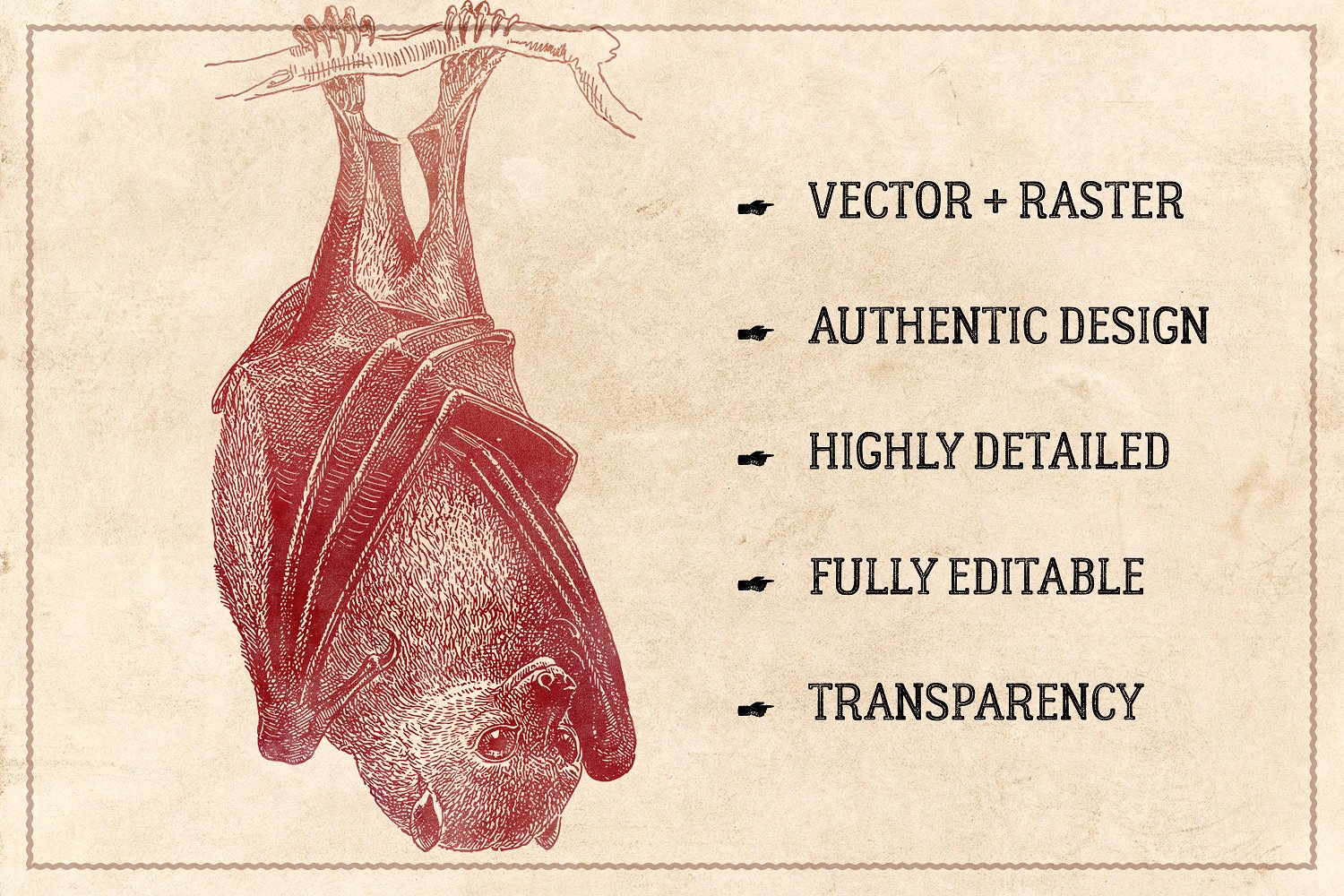 176个复古野生动物手绘（矢量）插图(1)