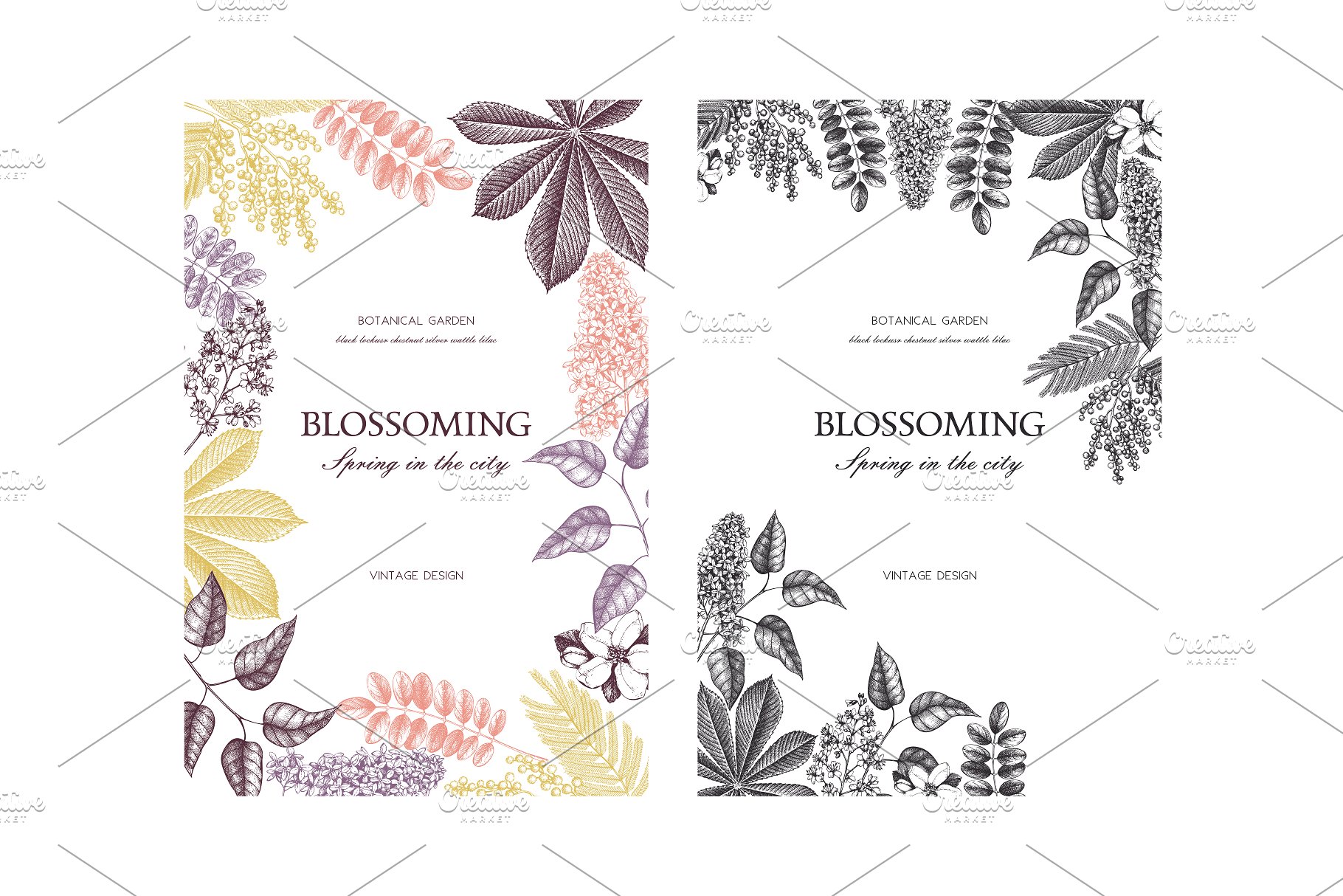 春季树木矢量插画素材 Vector Spring Trees Collection插图(4)