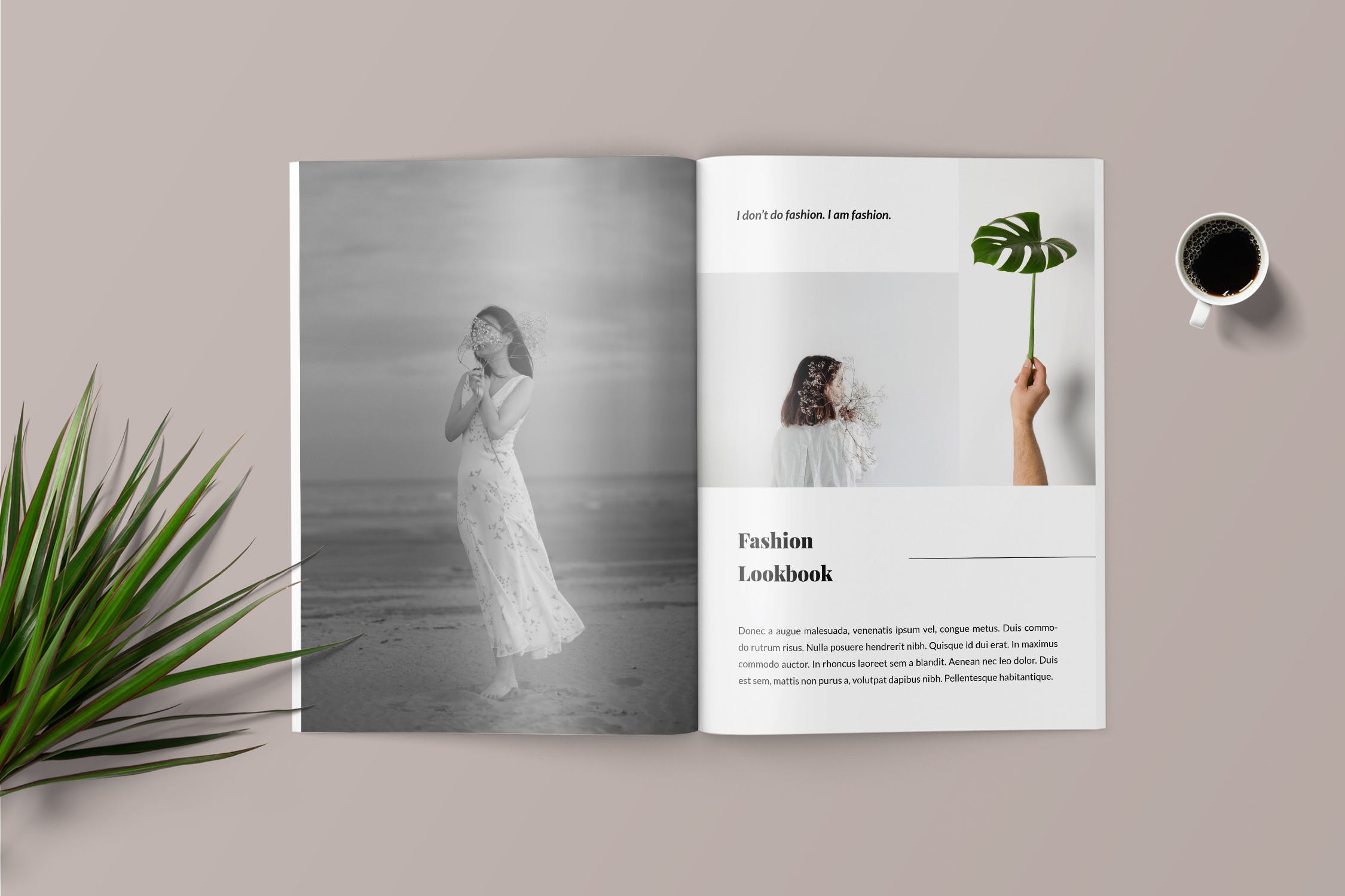 时尚品牌服饰产品手册/产品画册设计模板 Fashion Lookbook Catalogue插图(2)