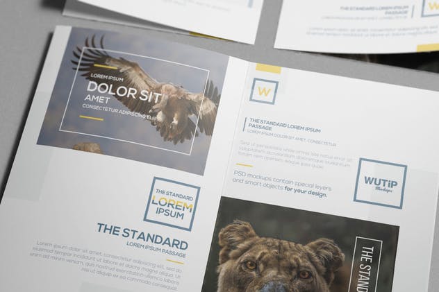 双折页A4规格企业品牌宣传册样机 Bi-Fold A4 Brochure Mockups插图(10)