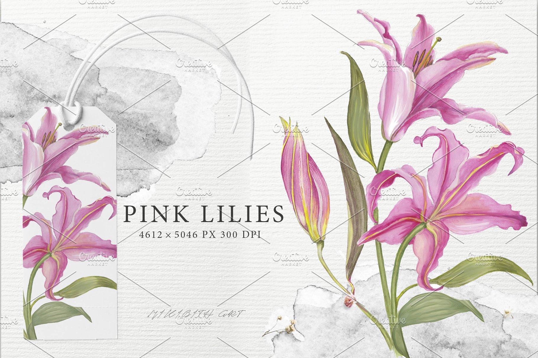 异国花卉水彩插画收藏集 EXOTIC FLOWERS collection插图(8)