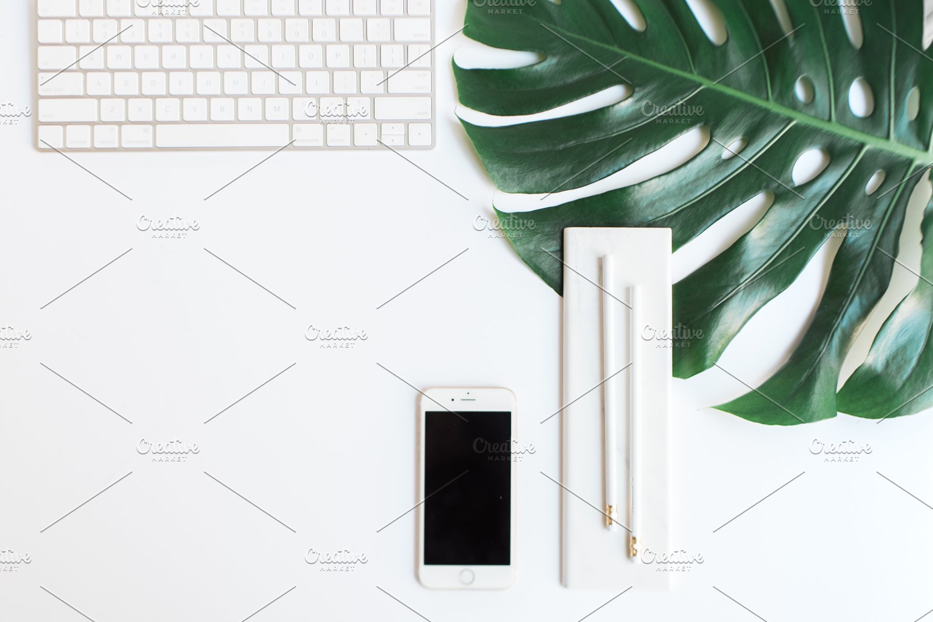 小资格调场景样机合集 MASSIVE Tropical Stock Photo Bundle插图(9)