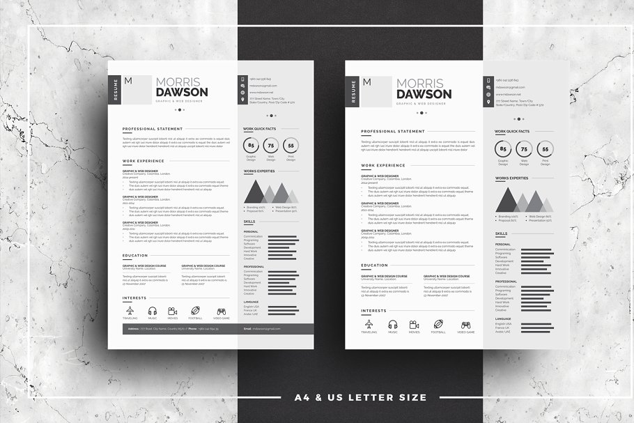 高端创意信息图表简历模板 Clean Infographic Resume/CV插图(4)