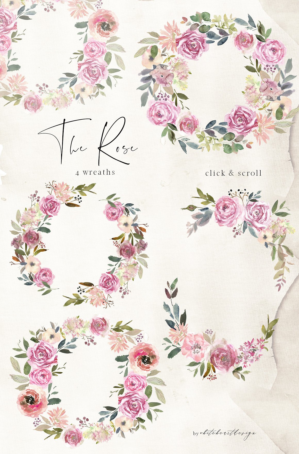 水彩玫瑰花花饰剪贴画 The Rose Watercolor Floral Clipart插图(3)