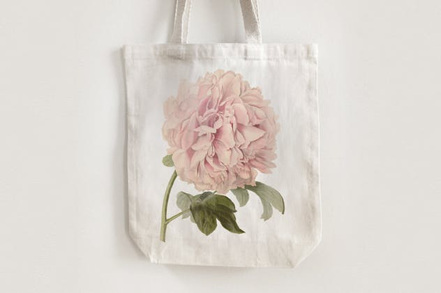 复古花卉矢量插画素材 Vintage Illustrations of Flowers插图(7)