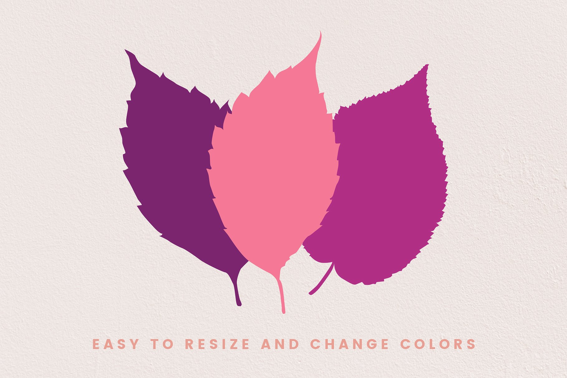 秋天落叶矢量图形 Autumn Leaf Silhouettes + Bonus插图(2)