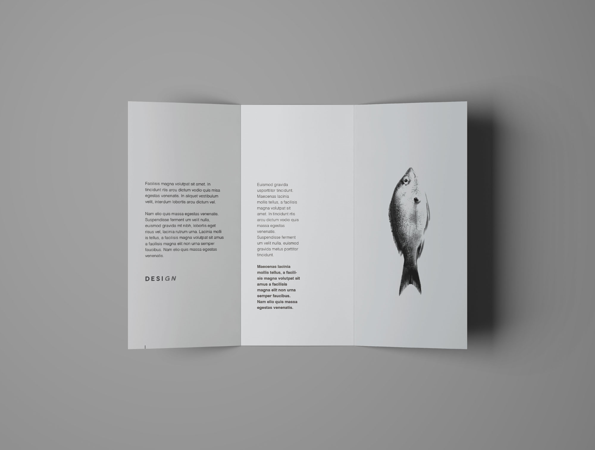 多角度三折页宣传单设计效果图样机 Free Advanced Trifold Brochure Mockup – 7 Angles插图(5)