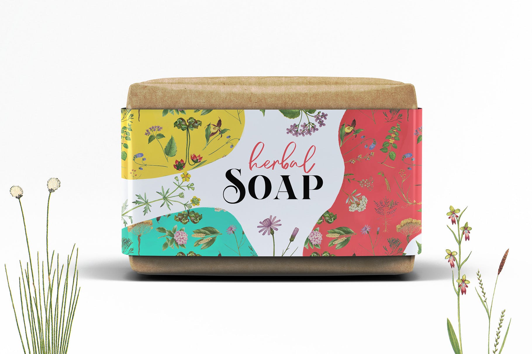 45款植物水彩手绘插画PNG素材 Dryad – Botanical Illustrations插图(4)