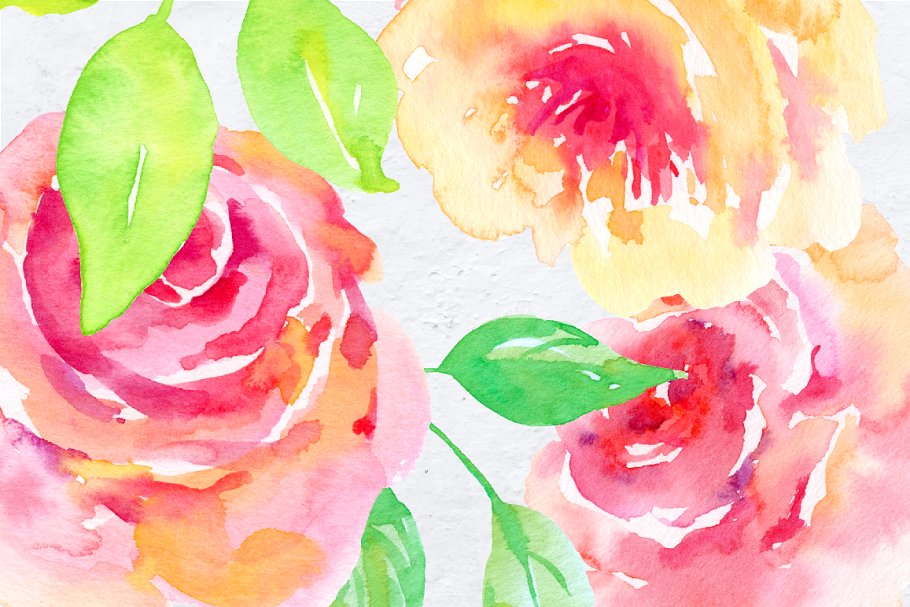 水彩手绘腮红粉装饰花卉元素 Watercolor Design Kit Rosy插图(4)