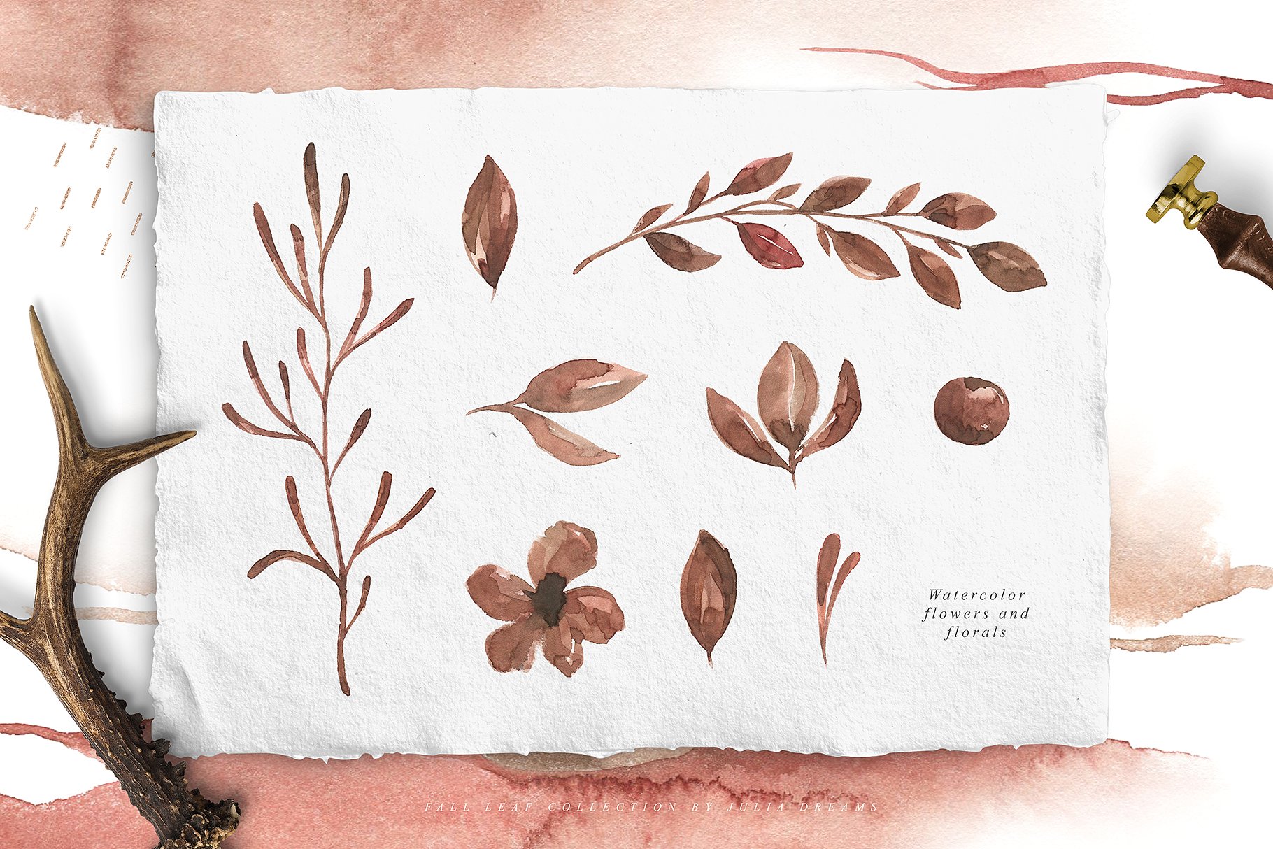 秋天落叶元素水彩插画 Fall Leaf Watercolor Collection插图(8)