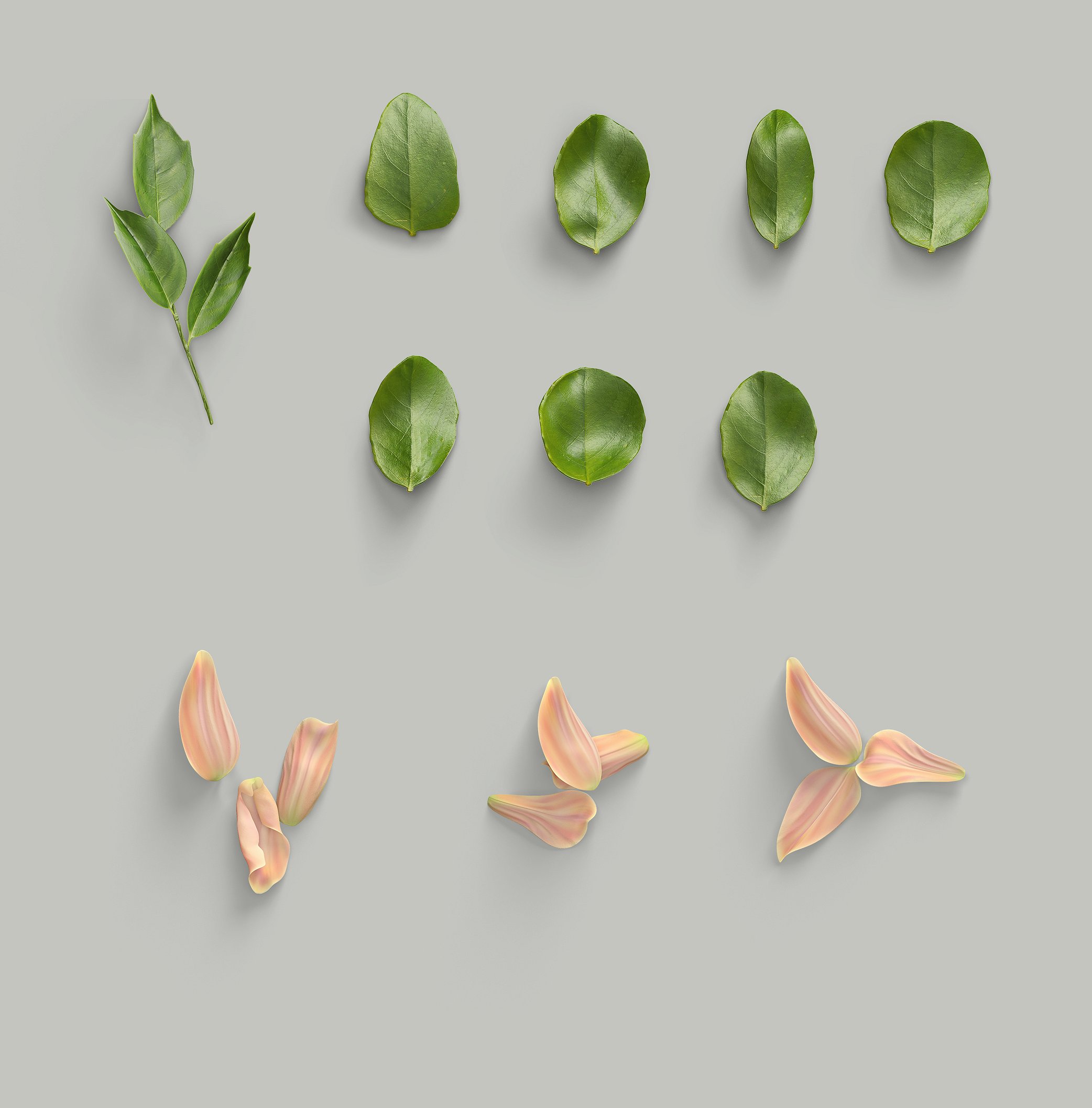 8.3GB超容量女性小物样机素材 Girly Stationery Mockup Creator（高清实物元素+场景样机）插图(22)